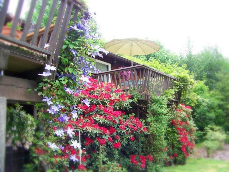 Misty Valley Inn Forks Dış mekan fotoğraf